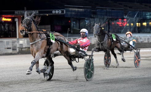 Antonio Trot imponerade stort när han på onsdagen krossade motståndet på Solvalla. Foto av Lars Jakobsson/TR Bild